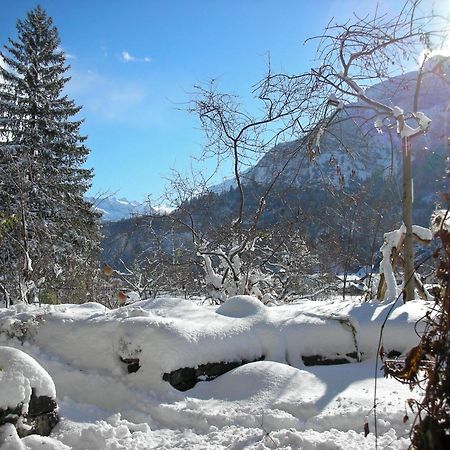 Dunkel Blaue Maus Panzió Meiringen Kültér fotó