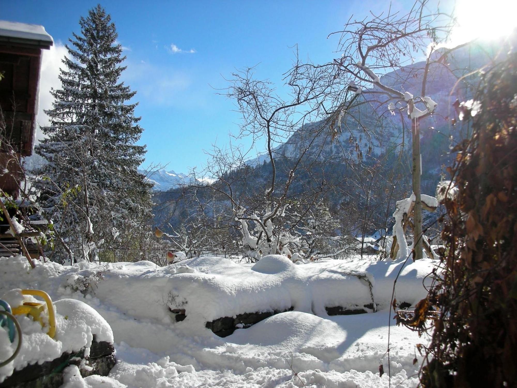 Dunkel Blaue Maus Panzió Meiringen Kültér fotó