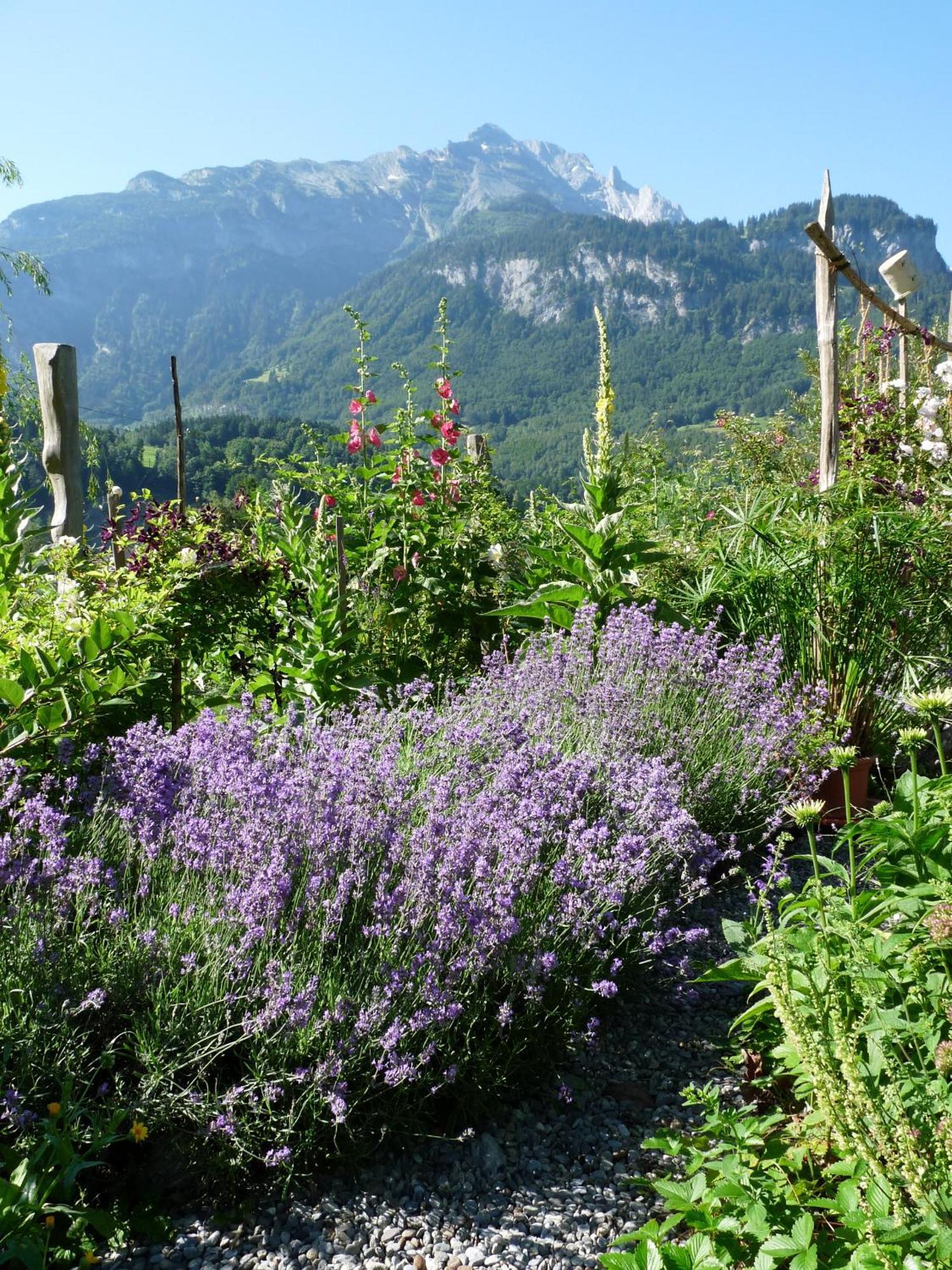 Dunkel Blaue Maus Panzió Meiringen Kültér fotó