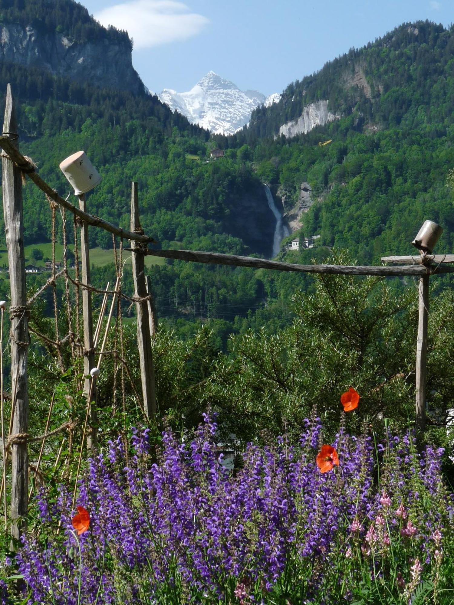 Dunkel Blaue Maus Panzió Meiringen Kültér fotó